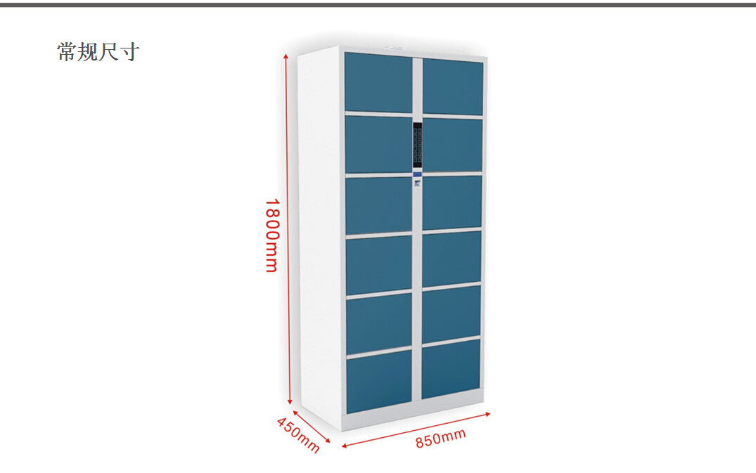 厂家供应指纹识别智能柜,指纹识别储存柜,公共场合存放柜,存包柜