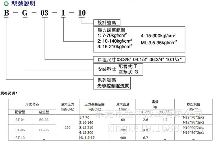 BG-03先导控制溢流阀型号说明