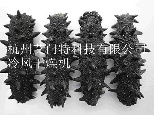 海参2 (2)