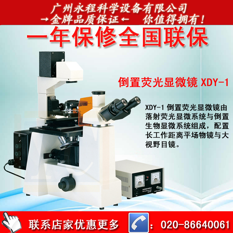 XDY-1