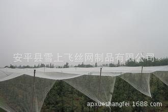 北京防雹网,葡萄防雹网,果树防雹网的生产厂家