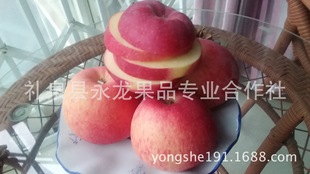 新鲜水果有机苹果产地直供膜袋红富士苹果非洛川烟台静宁天水鲜果