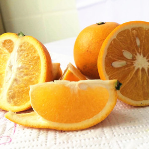 预售包邮平和桂花橙一件代发香橙代理批发新