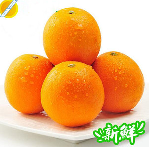 【江西橙子】江西橙子价格\/图片_江西橙子批发