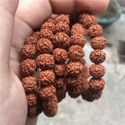 尼泊尔5瓣金刚菩提散珠108颗金刚金刚菩提原籽