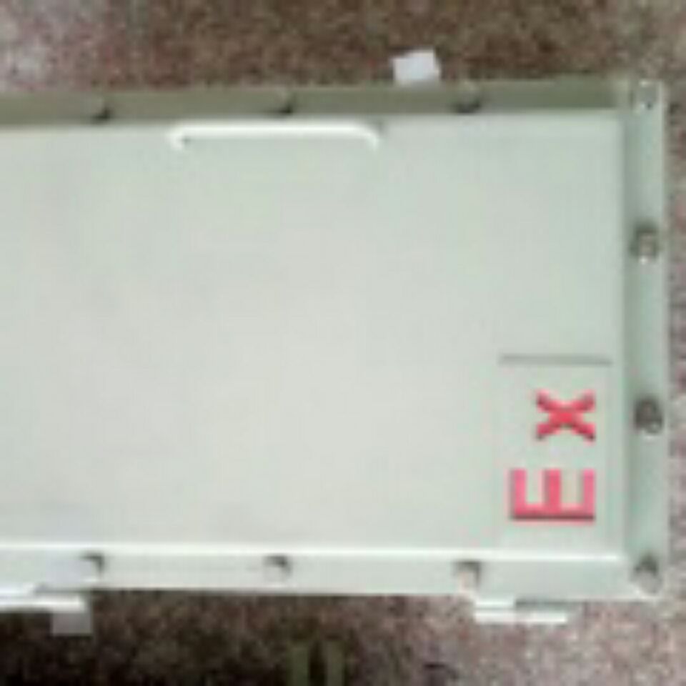 Q235钢板焊接防爆接线箱菲尼克斯端子箱-BXJ51-防爆空箱