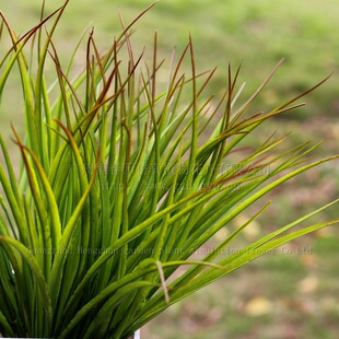 7叉长春草（喷红尾）塑料草植物墙点缀装饰 仿真植物 现货批发