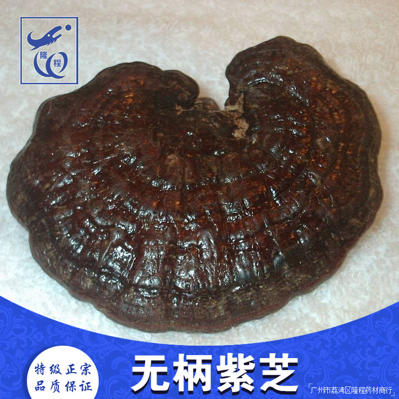 【推荐灵芝】精选海南野生无柄紫芝 紫灵芝优质海南灵芝批发