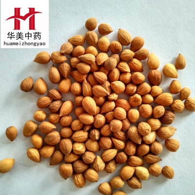 华美中药材批发 产地直销 郁李仁