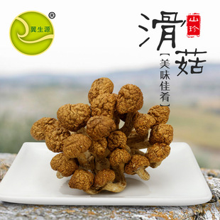 滑子菇古田特产食用菌翼生源生态种植优质白木耳新货228克