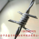 厂家直销双股铁丝绳 铁蒺藜钉 铁蒺藜围栏 镀锌铁蒺藜