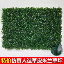 Tianzhulin mô phỏng Milan cỏ nhựa mã hóa cỏ nhân tạo giả cây xanh ban công nền trang trí sân cỏ Sân cỏ nhân tạo