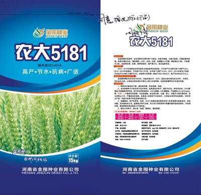 供应抗旱节水小麦种子新品种 农大5181