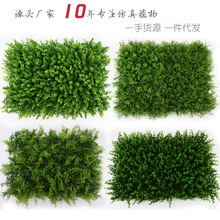 Mô phỏng tường cỏ trang trí trong nhà và ngoài trời cỏ bạch đàn vật liệu xanh cây xanh giả tường cây trồng tường Sân cỏ nhân tạo