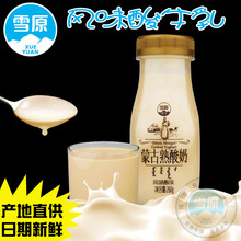 Sản phẩm đặc sản Nội Mông, sữa chua chín đỏ, sữa chua có hương vị 260g, các sản phẩm từ sữa, sữa nguyên liệu tuyết, cung cấp trực tiếp tươi Sữa chua