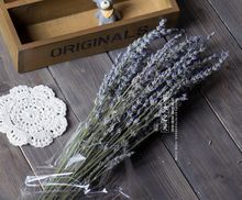 hoa oải hương khô làm bằng tay DIY bất tử vĩnh cửu liệu hoa màu tím hoa hộp cửa hàng trang trí đạo cụ hình ảnh Hoa khô hay