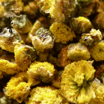 新茶 湖北金菊 黄金菊花茶 养生花草果茶叶散装批发