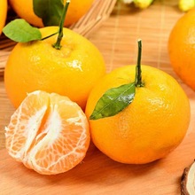 【丑橘】丑橘价格\/图片_丑橘批发\/采购_丑橘厂