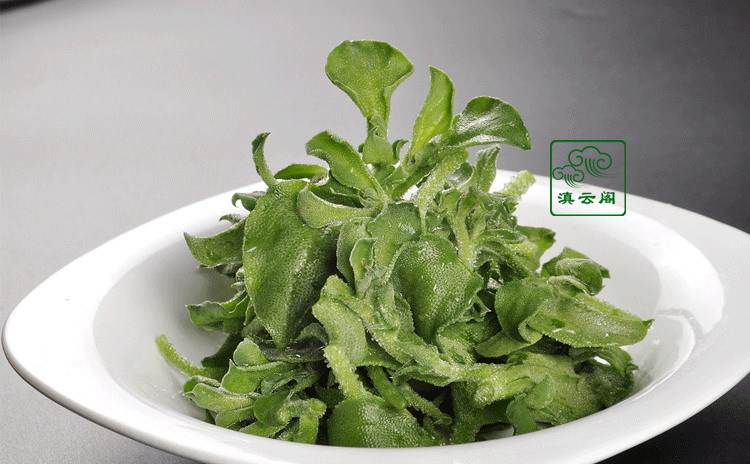 云南特产野菜非洲新鲜冰草蔬菜沙拉野麦子野生冰菜有机蔬菜批发