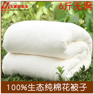 特价 大家好 白色纯棉千层无网新疆棉被冬被子5斤被芯批发150*200