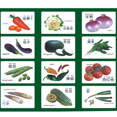 英汉双语蔬菜磁性教具 幼儿园早教儿童塑料拼音认知演示教学16件