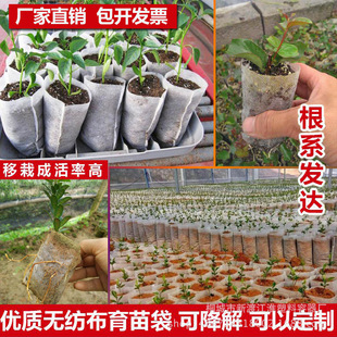 厂家直销加厚可降解无纺布育苗袋美植袋树苗容器钵营养袋营养钵