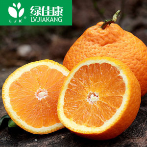 【橘子产地】橘子产地价格\/图片_橘子产地批发