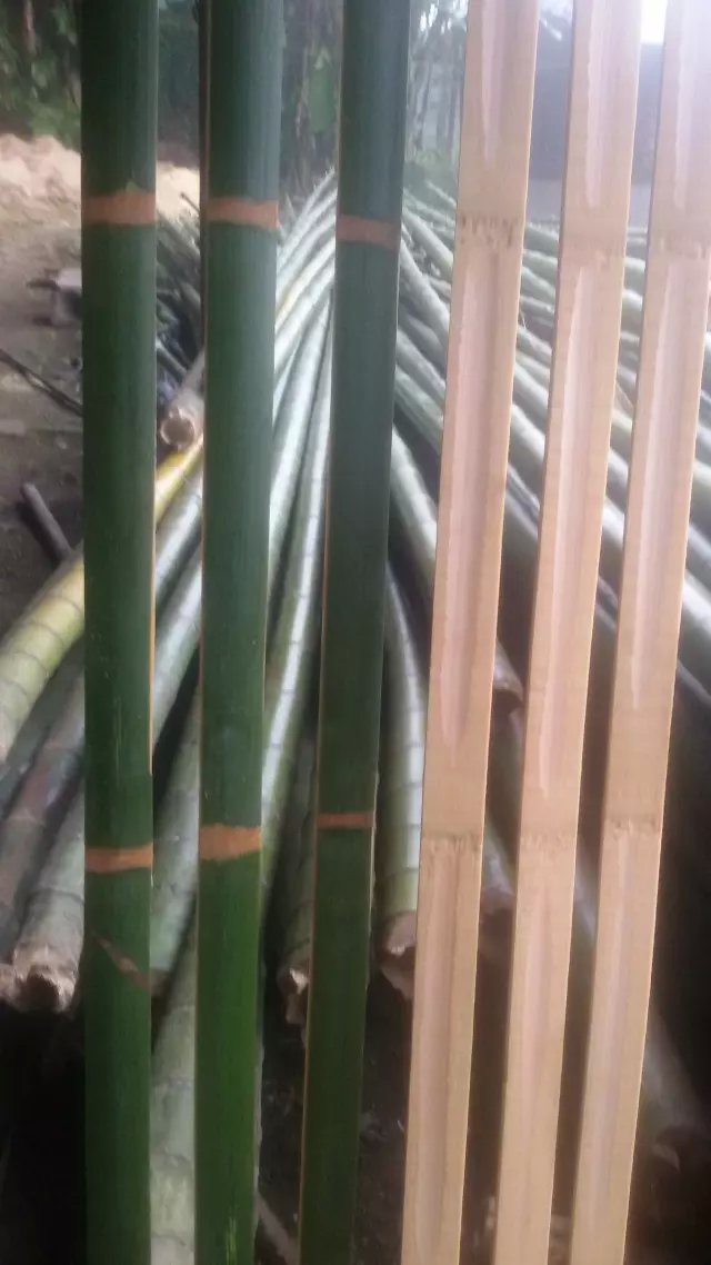 斑竹供应新疆毛竹 楠竹竹条 菜架竹 竹笆竹杯 扫把 建筑脚手架