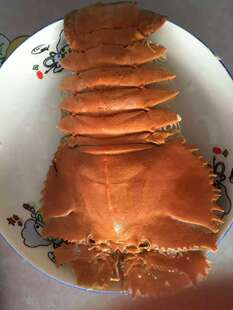 家之宴 海产品 批发 九齿扇虾 琵琶虾  有货 量大从优 质量保证
