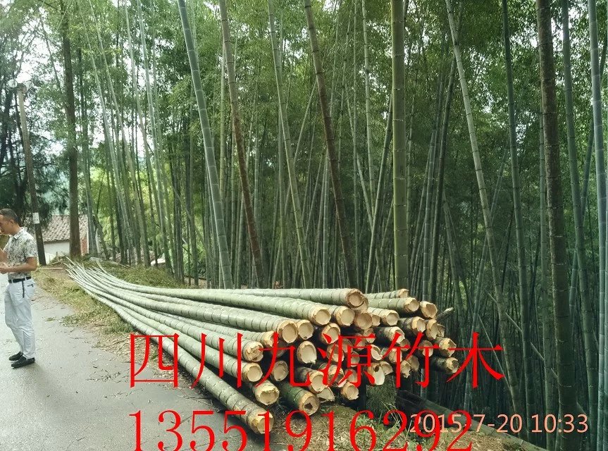 楠竹竹片 竹条 菜架竹 豆瓜扦,架竿,架材,药架竹,菜架 建材批发交易