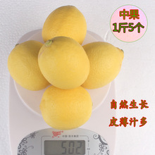 [Boutique] Một quả chanh Yue mới hái, nước ép da mỏng, nhiều lát, nước ép, 1 kg, khoảng 5 Trái cây Tứ Xuyên