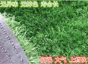 仿真草坪休闲运动草坪幼儿园专用草坪绿化工程专业草坪直销爆款。