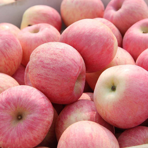 红富士苹果9斤装 80mm新鲜甜脆可口产地直供