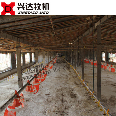 商品肉鸡白羽鸡自动喂料线 肉鸡料线专用配件专业生产厂家