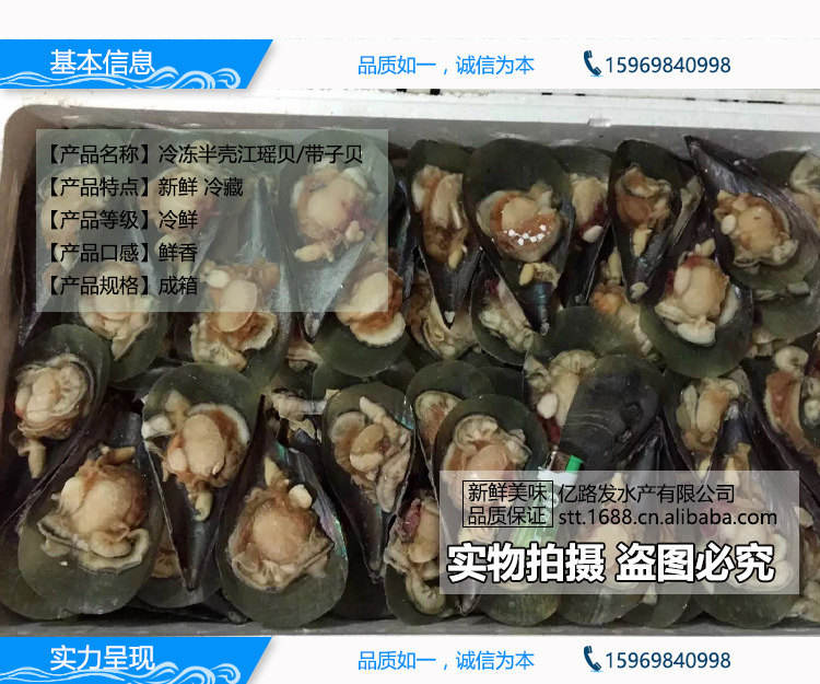 供应冷冻半壳江瑶贝/带子贝,酒店食材,烧