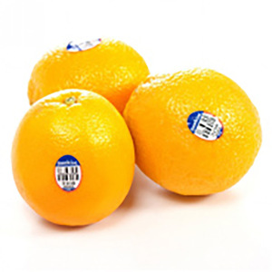 【海南橙子】海南橙子价格\/图片_海南橙子批发