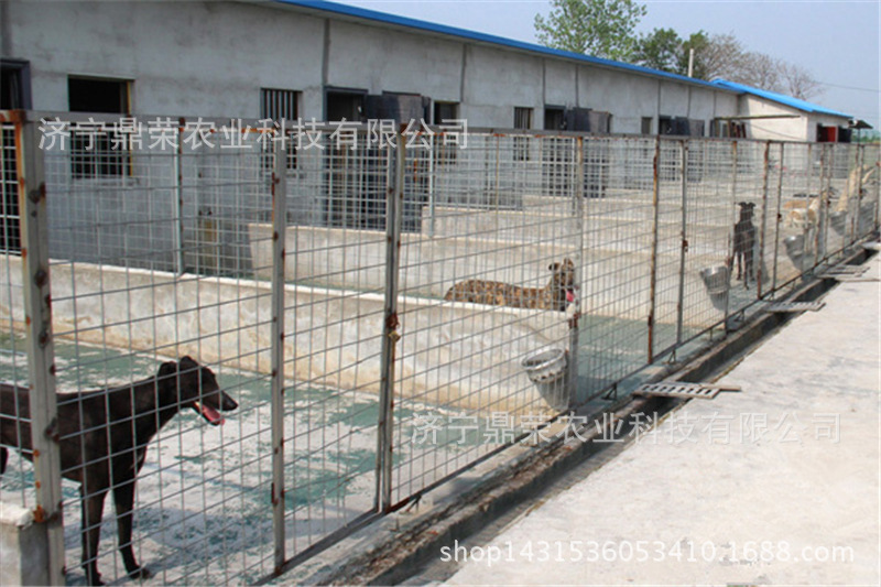 鲁西猎犬的发源地 国际现代化的猎犬育种中心   一,基地介绍:   国际
