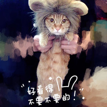 tai nhỏ mũ pet sư tử mũ tóc giả mèo Teddy chó puppy trang phục mèo con sư tử bộ trưởng Trang phục mèo