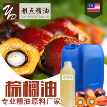 棕榈油24