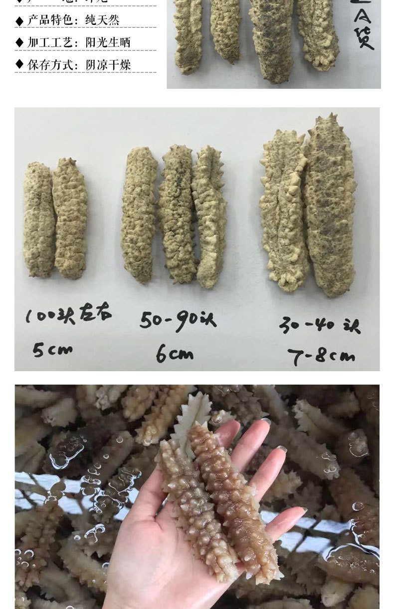 印尼黄金刺参 30-100头 一德路批发 海参干制250g一件