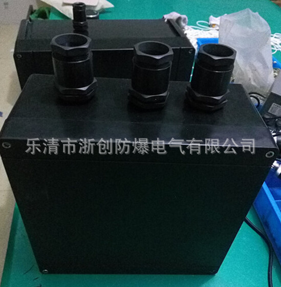 防水防尘防腐接线箱FXJ-20/8,20A电流