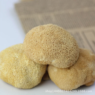 厂家直销 二级猴头菇 野生猴头菇干货 山货蘑菇 健康食用菌 批发