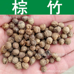 color=red>棕竹/font font color=red>种子/font>观音竹 font