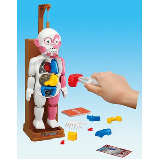 台湾益智玩具桌面游戏 仿真人体拼装模型玩具  万圣节鬼节玩具