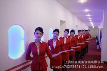 上海机票_国际哪里买北京上海休斯顿稍便宜机票
