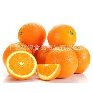 【海南橙子】海南橙子价格\/图片_海南橙子批发