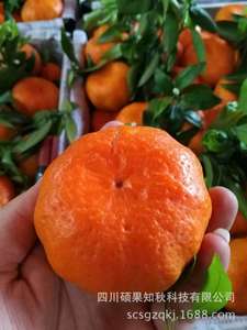 【柑橘叶】柑橘叶价格\/图片_柑橘叶批发\/采购