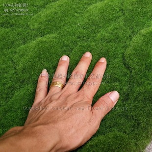 植毛海棉青苔草皮 室内景观苔藓 背景布置 仿真植物墙绿色假草坪