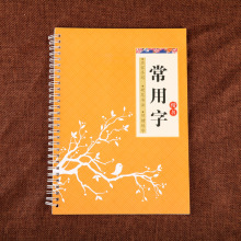 Xuguang copybook 楷书 bảng quay số dành cho người lớn Sách thực hành