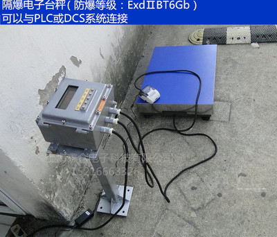 朗科防爆电子台秤150kg继电器开关量信号输出隔爆电子秤全国包邮